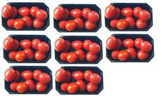 Tomaten-8x9.jpg